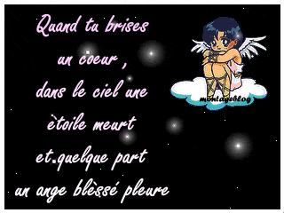 Description d gars